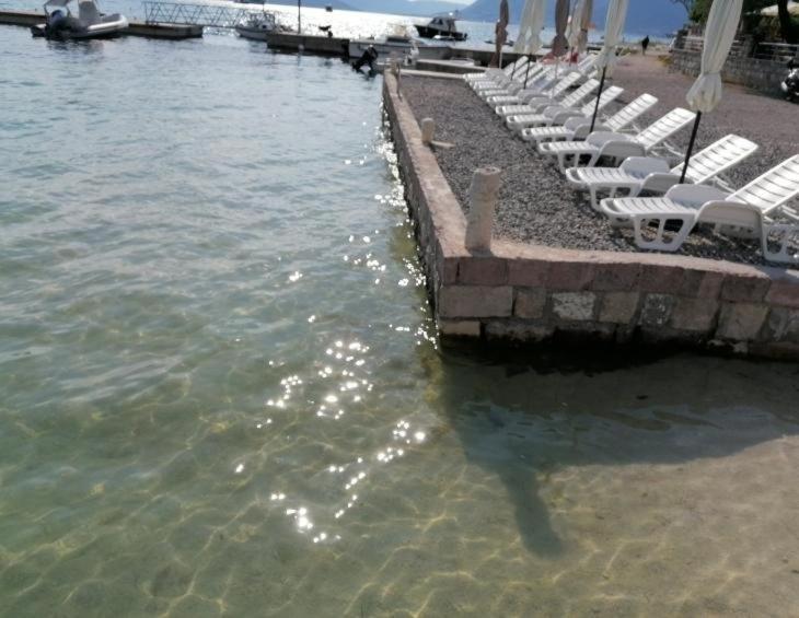 Apartmán Tondo Tivat Exteriér fotografie